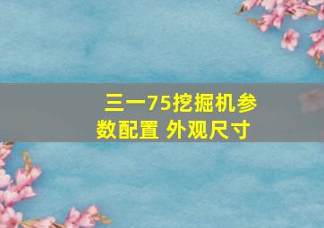 三一75挖掘机参数配置 外观尺寸